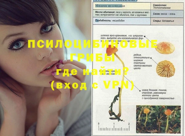 прущая мука Елабуга