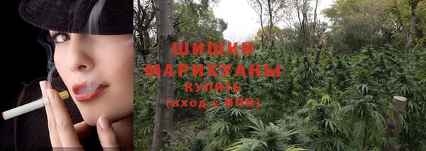 прущая мука Елабуга